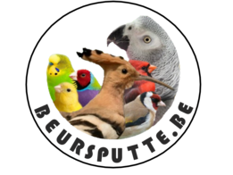 Sale 16 November 2025